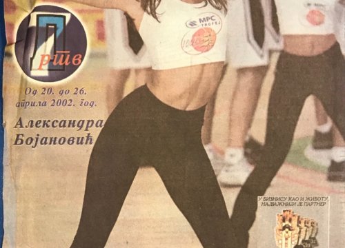 2002 Dnevnik